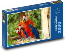 Papoušek Puzzle 2000 dílků - 90 x 60 cm