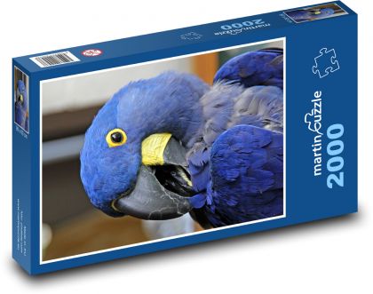 Parrot - Puzzle 2000 pieces, size 90x60 cm 