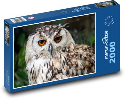 Sova, sova veľká vo voľnej prírode - Puzzle 2000 dielikov, rozmer 90x60 cm 