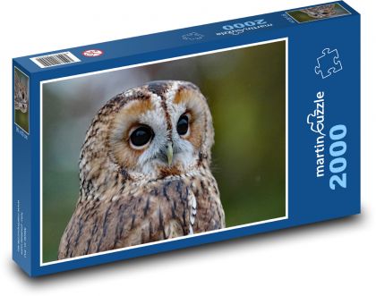 Sowa, strażnik lasu - Puzzle 2000 elementów, rozmiar 90x60 cm