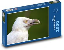 Pták s bílým peřím Puzzle 2000 dílků - 90 x 60 cm