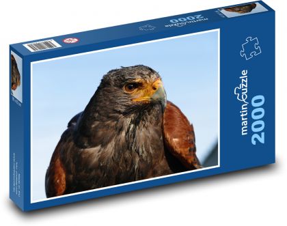 Steinadler, Raubtierporträt - Puzzle - 2000 Teile