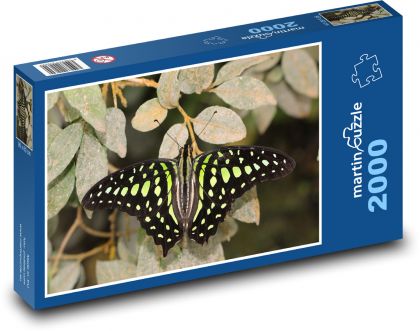 Motýľ so zelenými škvrnami na krídlach - Puzzle 2000 dielikov, rozmer 90x60 cm 