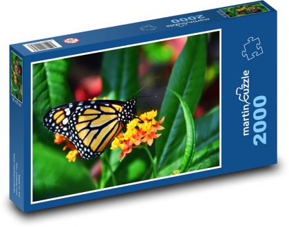 Motýľ - Puzzle 2000 dielikov, rozmer 90x60 cm 