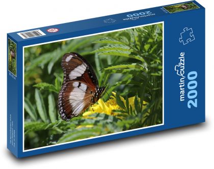 Motýl - Puzzle 2000 dílků, rozměr 90x60 cm