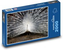 Biely páv so šíreným perím Puzzle 2000 dielikov - 90 x 60 cm