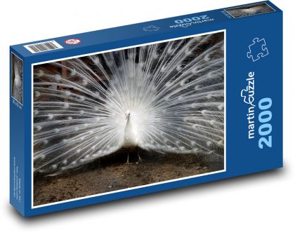 White peacock with spread feathers - Puzzle 2000 pieces, size 90x60 cm 