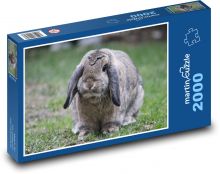 Králík Puzzle 2000 dílků - 90 x 60 cm