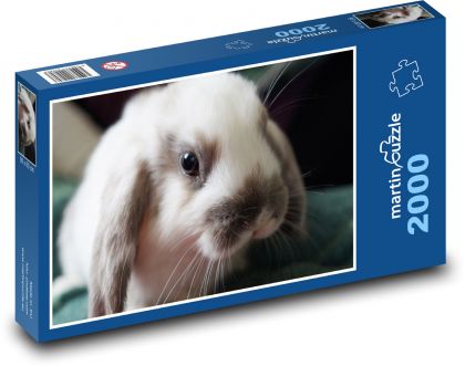 Roztomilý malý zajačik - Puzzle 2000 dielikov, rozmer 90x60 cm 