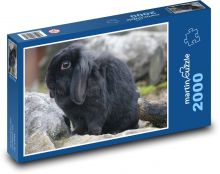 Čierny zajac sediaci na kameni Puzzle 2000 dielikov - 90 x 60 cm