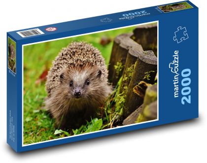 Jeż w lesie - Puzzle 2000 elementów, rozmiar 90x60 cm