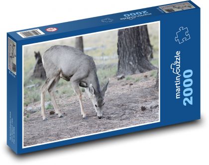 Deer in the forest - Puzzle 2000 pieces, size 90x60 cm 