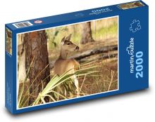 Jelen, laň u stromu v lese Puzzle 2000 - 90x60 cm