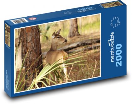 Hirsch, Reh an einem Baum im Wald - Puzzle - 2000 Teile