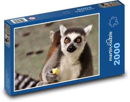 Lemur - Puzzle 2000 dílků, rozměr 90x60 cm