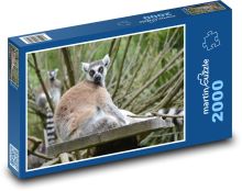 Madagaskar Lemur Puzzle 2000 dielikov - 90 x 60 cm