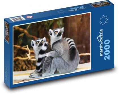 Lemur - Puzzle 2000 pieces, size 90x60 cm 