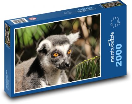 Lemur - Puzzle 2000 dílků, rozměr 90x60 cm