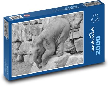 Elephant - Puzzle 2000 pieces, size 90x60 cm 