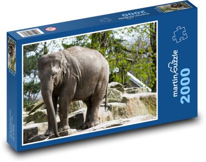 Slon - Puzzle 2000 dílků, rozměr 90x60 cm