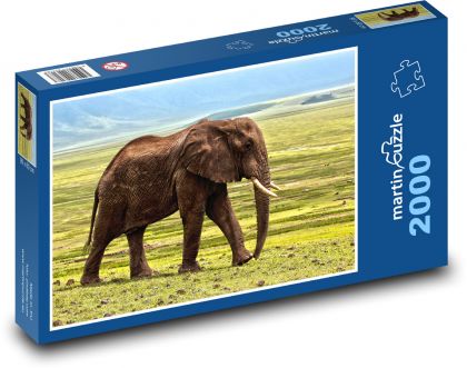 Slon ve volné přírodě - puzzle 2000 dílků