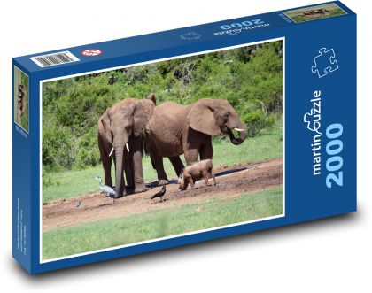 Elephant - Puzzle 2000 pieces, size 90x60 cm 