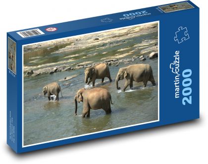 Sloní stádo brodící řeku - puzzle 2000 dílků