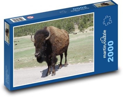 Buffalo v národnom parku - Puzzle 2000 dielikov, rozmer 90x60 cm 
