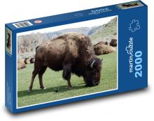 Buffalo Puzzle 2000 pieces - 90 x 60 cm