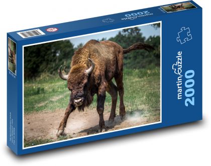 Ein wütender Büffel bereit zum Kampf - Puzzle - 2000 Teile