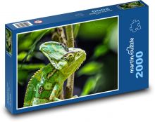 Chameleon Puzzle 2000 dílků - 90 x 60 cm
