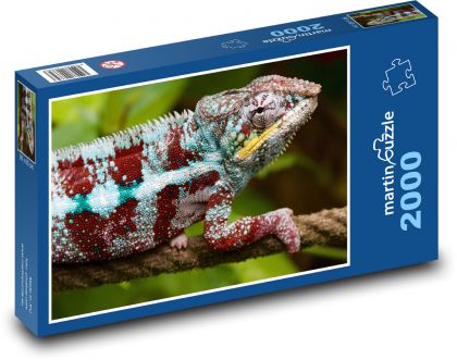 Chameleon - Puzzle 2000 pieces, size 90x60 cm 