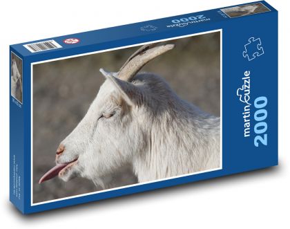 Biała koza z wystającym językiem - Puzzle 2000 elementów, rozmiar 90x60 cm