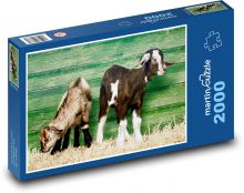Malá kůzlata na farmě Puzzle 2000 - 90x60 cm