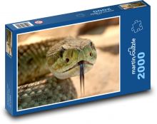 Snake with tongue sticking out Puzzle 2000 pieces - 90 x 60 cm