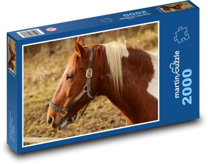 Brownish-white horse with harness - Puzzle 2000 pieces, size 90x60 cm 