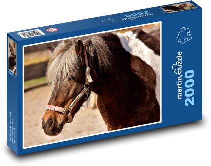 Hnedý kôň s bielymi škvrnami vo výbehu - Puzzle 2000 dielikov, rozmer 90x60 cm 