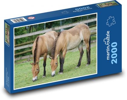 Kůň - Puzzle 2000 dílků, rozměr 90x60 cm
