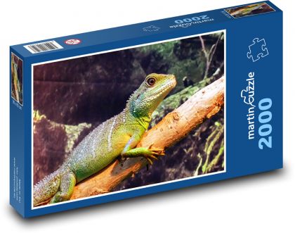 Iguana - Puzzle 2000 dielikov, rozmer 90x60 cm 