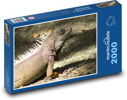 Leguane krabbeln auf dem Boden - Puzzle - 2000 Teile