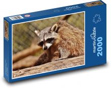 Raccoon Puzzle 2000 pieces - 90 x 60 cm