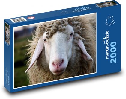 Ovce s dlhými ušami - Puzzle 2000 dielikov, rozmer 90x60 cm 