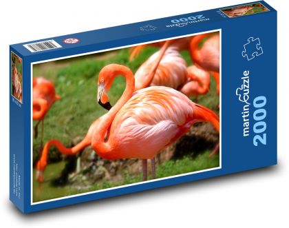 Flamingo - Puzzle 2000 pieces, size 90x60 cm 