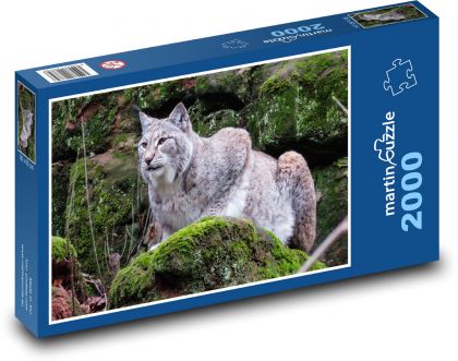 Lynx - Puzzle 2000 dielikov, rozmer 90x60 cm 