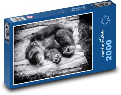 Spiaca opica - Puzzle 2000 dielikov, rozmer 90x60 cm 