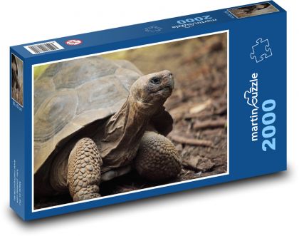 Korytnačia hlava vykukujúca zo škrupiny - Puzzle 2000 dielikov, rozmer 90x60 cm 