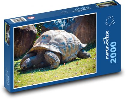 Želva - Puzzle 2000 dílků, rozměr 90x60 cm