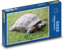 Korytnačka so škrupinou Puzzle 2000 dielikov - 90 x 60 cm