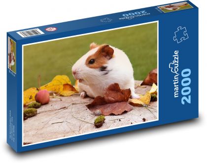 Weißes Meerschweinchen in Herbstblättern - Puzzle - 2000 Teile