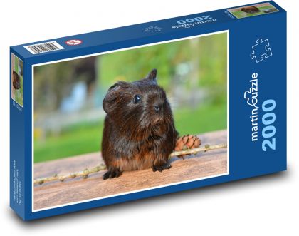 Morča a šiška - Puzzle 2000 dielikov, rozmer 90x60 cm 